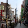 見えた!!