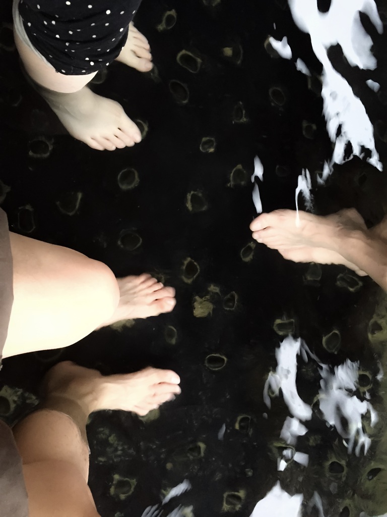 足湯でほっこり･･･