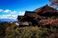 京都、ぶらり散歩･･･