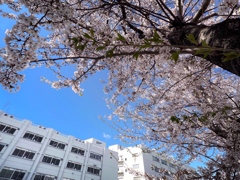 見上げた空