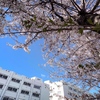 見上げた空