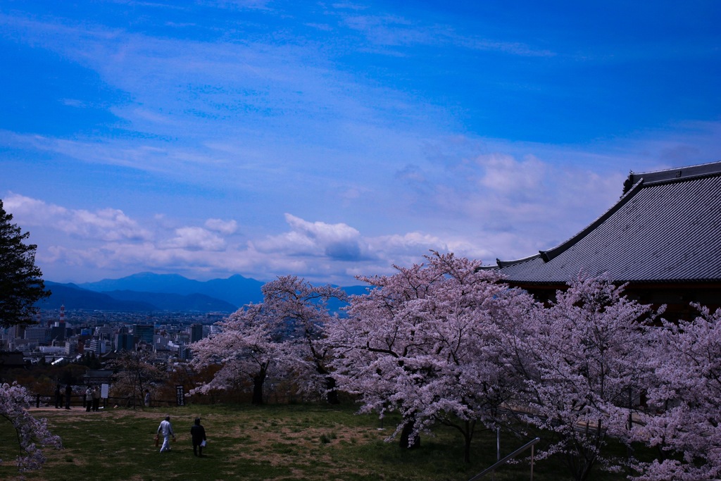 君と歩いた雲上殿･･･