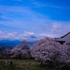 君と歩いた雲上殿･･･