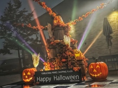 ハロウィン ハロウィン