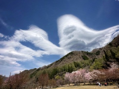 空飛ぶゴリラ