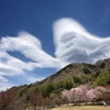 空飛ぶゴリラ