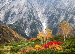 今年初の紅葉