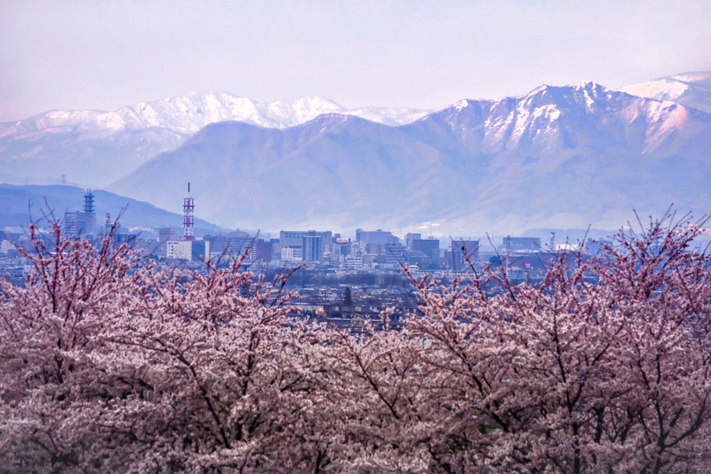 北信濃の春景色