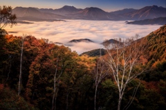 高原の朝