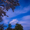 君と歩きながら･･･