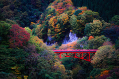 君と、紅葉を眺めながら ～松川渓谷～
