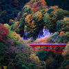 君と、紅葉を眺めながら ～松川渓谷～