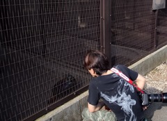 お散歩コース♪
