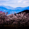 山と暮らす･･･(千曲市)