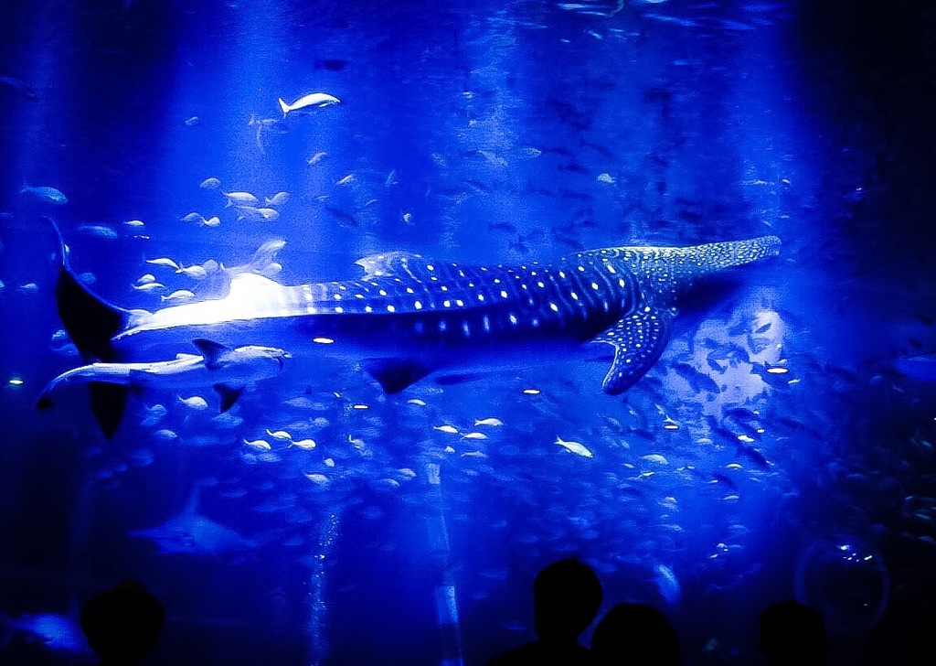能登半島 ♪