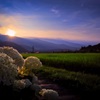 夕暮れの田園風景