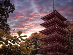 光泉寺 夕景 光泉寺 夕景