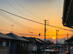 たった今･･･