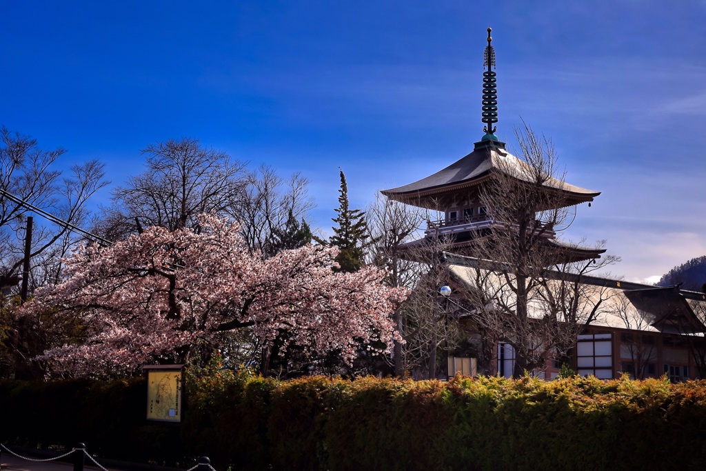 静まり返る善光寺