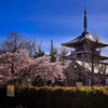 静まり返る善光寺