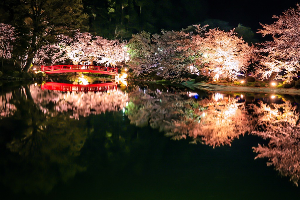 君と見た夜桜･･･