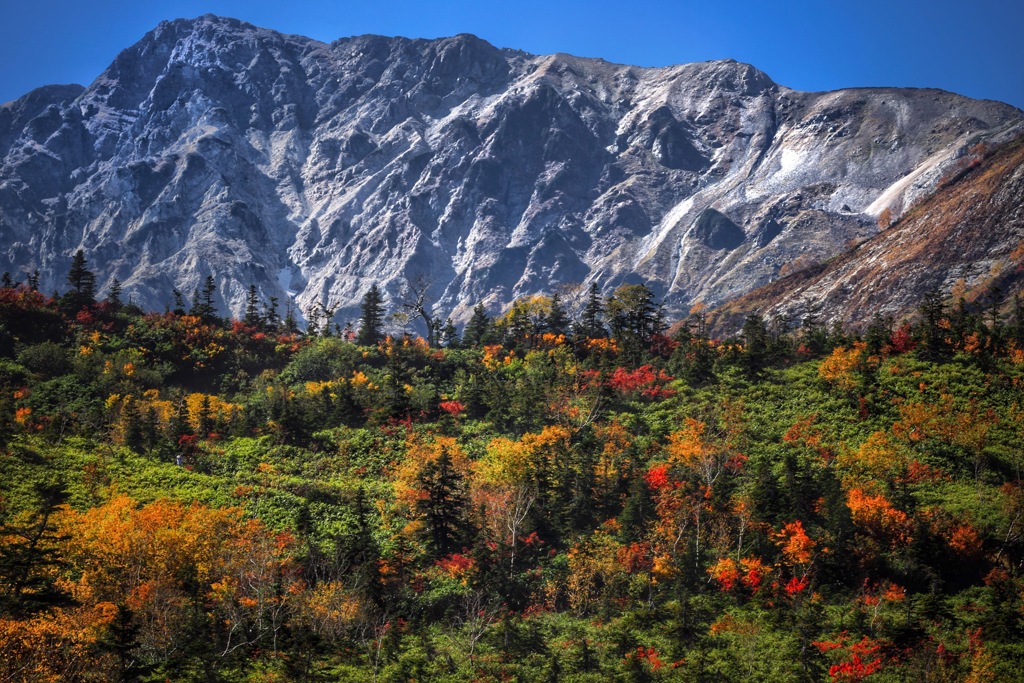 秋景色の白馬岳