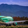 山と機体