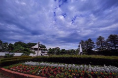 生まれ変わる公園