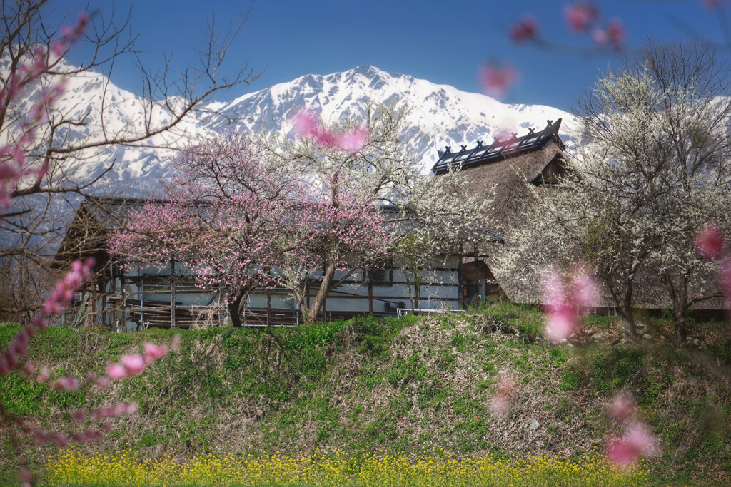 山里の春