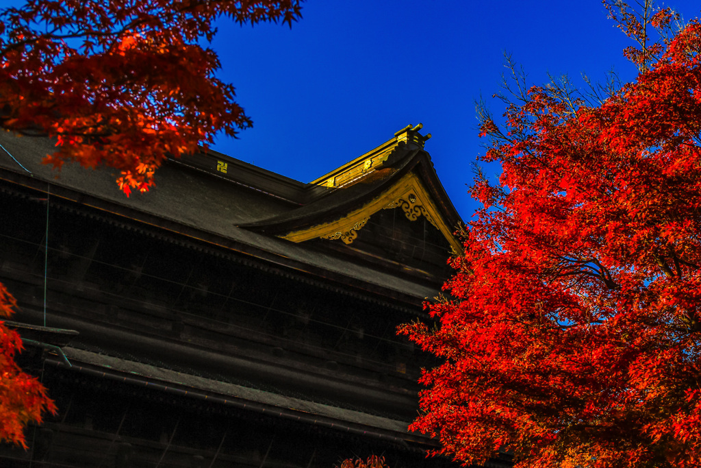 見上げたくなる想い ～碧空～