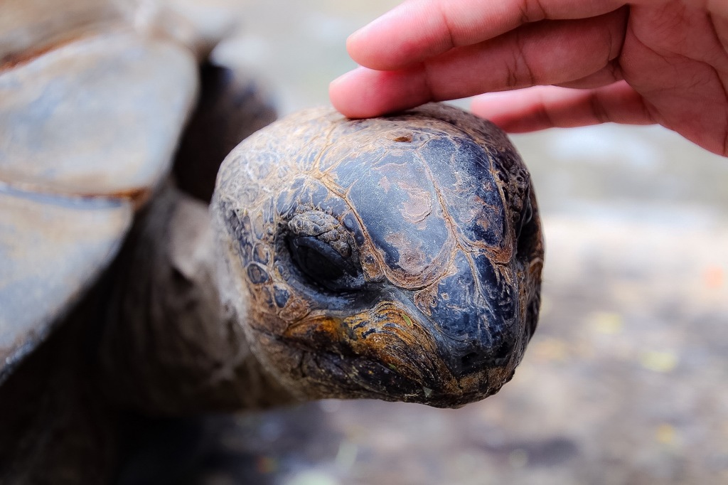 能登半島 ♪