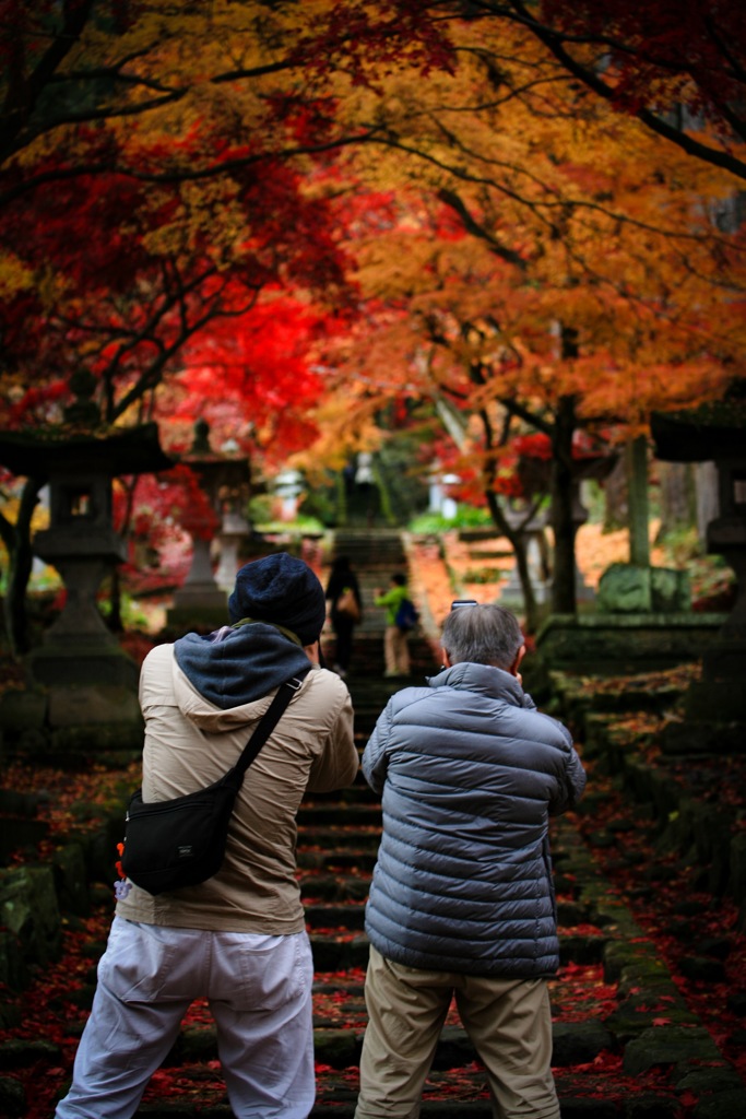 紅葉を撮る