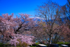 千曲川河川敷でBBQ 