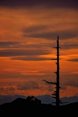染まる夕空