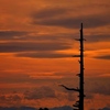 染まる夕空