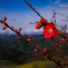 山と暮らす ～春～