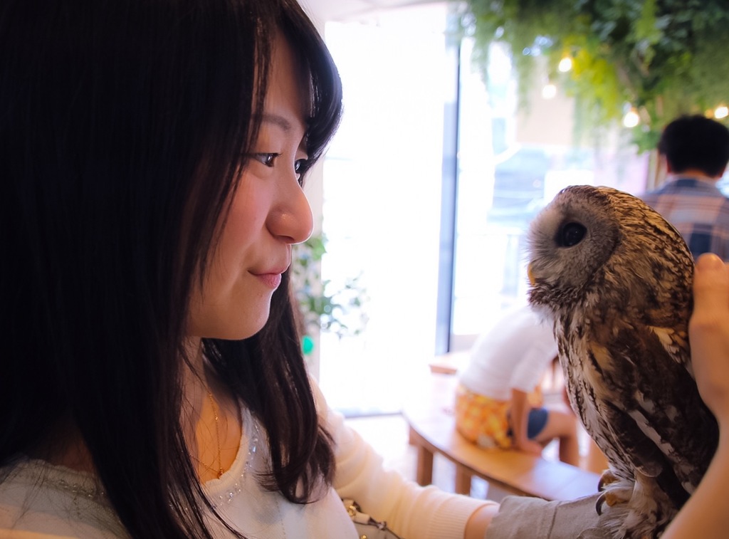 フクロウのお庭 ～Cafe～