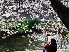 ほっと一息
