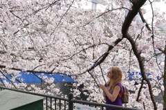 桜の木の下で