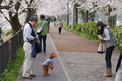 ご挨拶