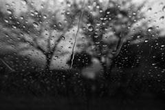 雨音はショパン