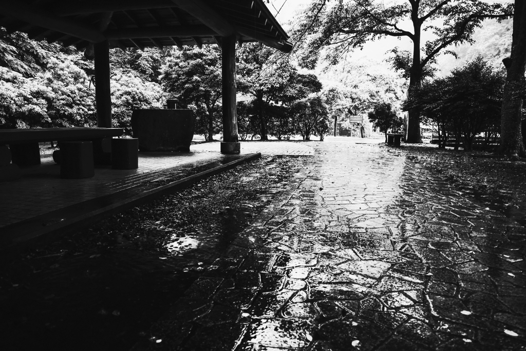 雨の日曜日