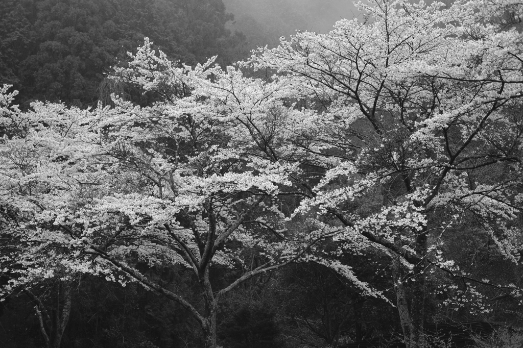 ACROS