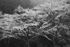 ACROS
