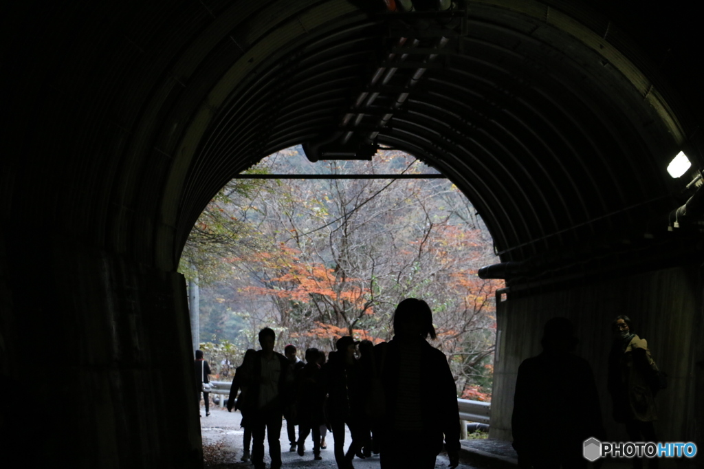 トンネルの先に