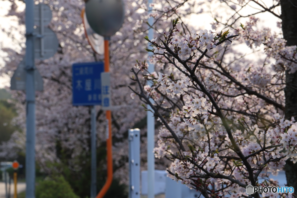 木屋川２
