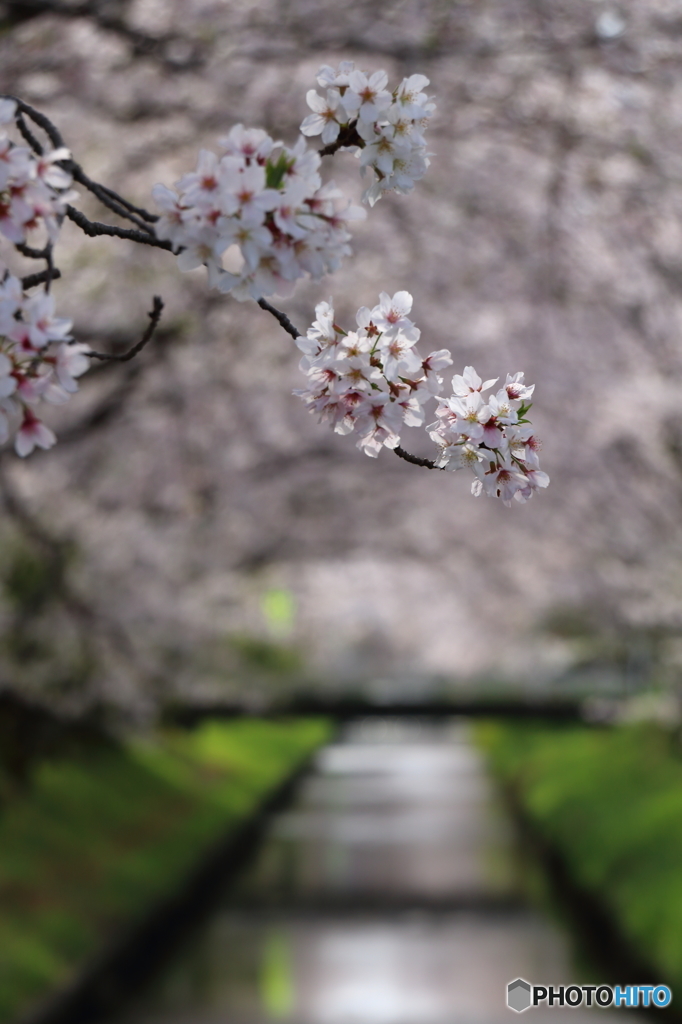 木屋川