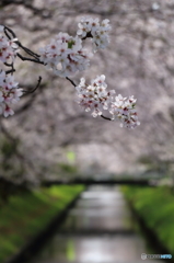 木屋川