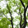 公園（４）