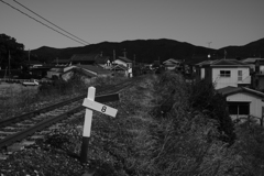 旅行